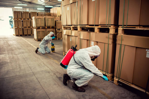 Best Emergency Pest Control  in Campbell, FL
