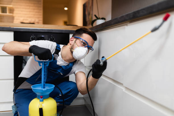 Flea Control Services in Campbell, FL