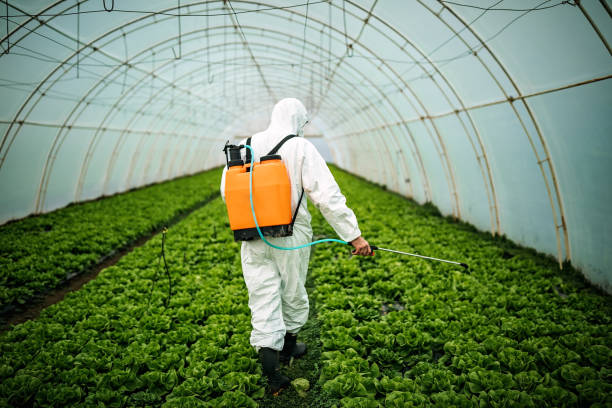 Best Affordable Exterminators  in Campbell, FL