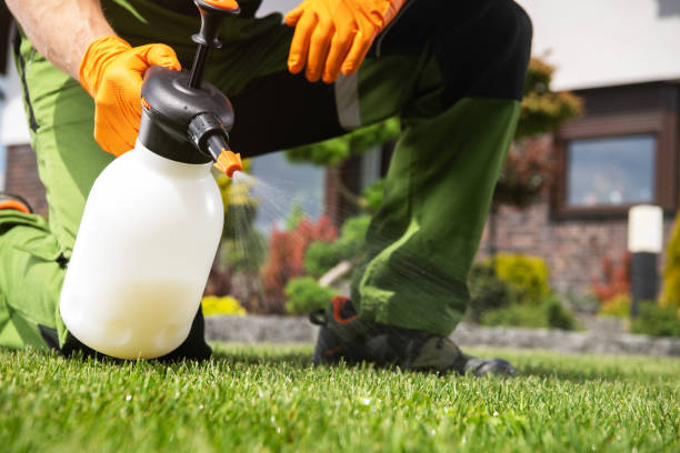 Best Residential Pest Control  in Campbell, FL