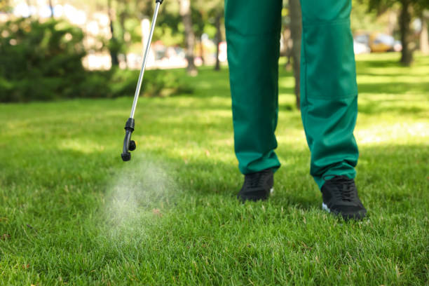 Best Bed Bug Extermination  in Campbell, FL