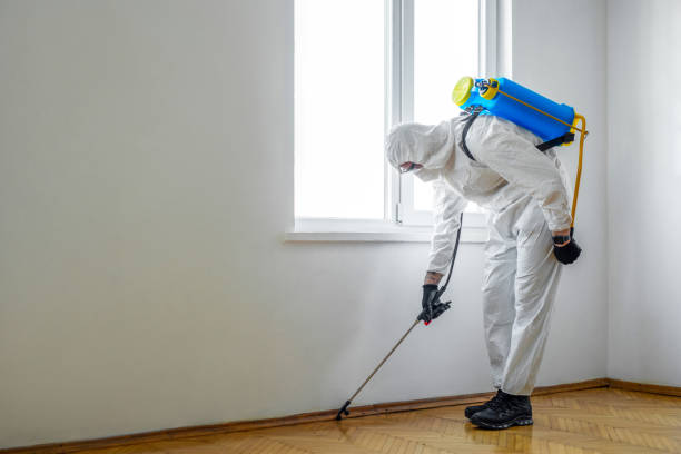 Wildlife Control Services in Campbell, FL