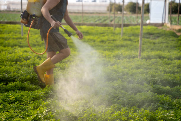 Best Pest Removal Services  in Campbell, FL