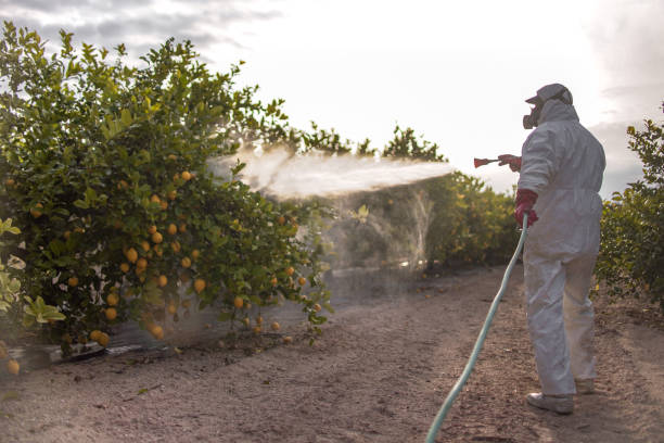 Campbell, FL Pest Control Company