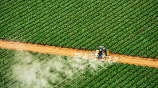 Best Insect Control  in Campbell, FL
