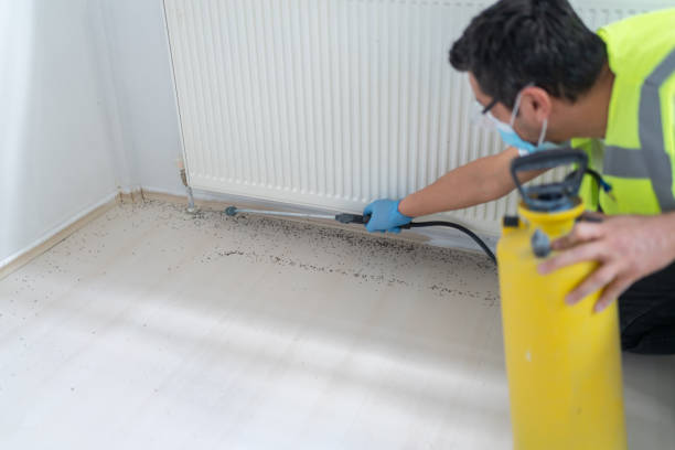 Best Pest Inspection Near Me  in Campbell, FL