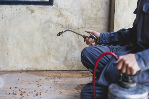 Best Termite Control Services  in Campbell, FL