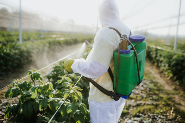Best Flea Control Services  in Campbell, FL